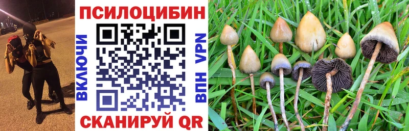 Галлюциногенные грибы прущие грибы  Мензелинск 